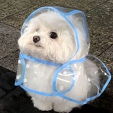 hanbaochibubaoluntai