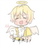 dueflang