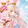 Anime Việt Sub
