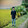 Efat Sarkar