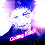 coding_echo