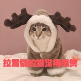 zijinxiansheng