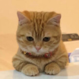 ㅎㅎㅈㅇㅂ