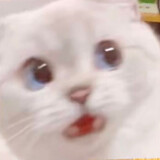 qingjiaowoyoudetongxue