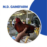 M.D. Gamefarm