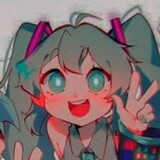 REMI_Y/N_SIMPP