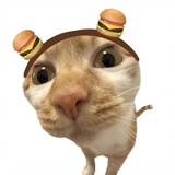 hanbao___meme-