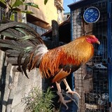 TOYOgamefarm