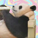 baojiazutiefen