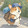 xiaogoubuchiyu