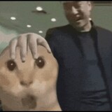 woligiaog