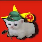 meovietnam