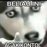 vaipi Gaming