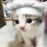 touzoumofa