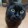 Pusang Cute
