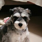 wodemingzishiyuanbao