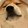 ____shiao