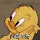 sheishizhuzhu