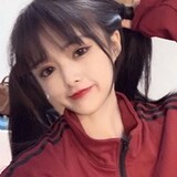 fengji______lank