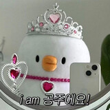 duck_princess