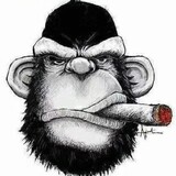 liuxiaopangdebaoxiao