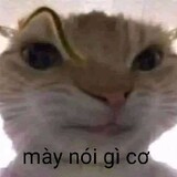 mêkhứaInosuke