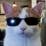 catcacaa