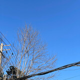 いまshengきている