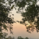 liulianwangfanzai