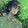 gushizhongxie023