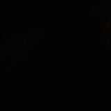bili_1769445308