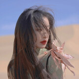 shangshandatiger_