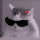 mikee lolz