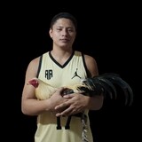 TURBOGAMEFOWLS