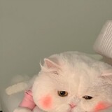 meiyoushijian77