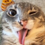 gaitiangaosuni_