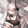 shihan2