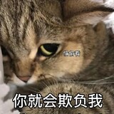 zhongcailao