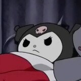 shenmecaishiyongyuan