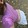 Jay Ann Marie