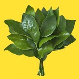 xiezhenfuliheji