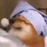 r___iugeng