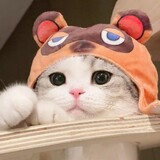 sansusiwu