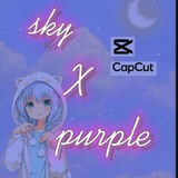 sky-purple