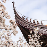 zizai-jushi