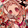 Ryueki