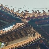 jiazihuoshao