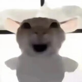 dazhouing
