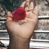 fariya mou_7075