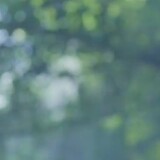 มุมิ0809
